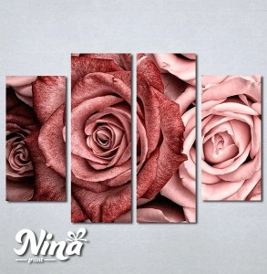 Slike na platnu Slike ruze Nina412_4