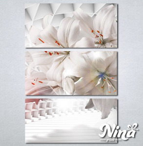 Slike na platnu Ukrasni ljiljan Nina282_3 - Img 2