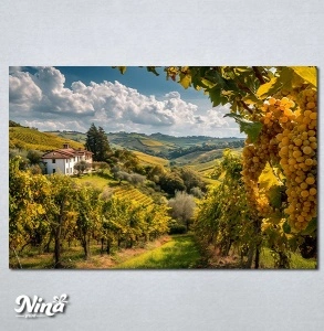 Slike na platnu Vinograd Nina656_P