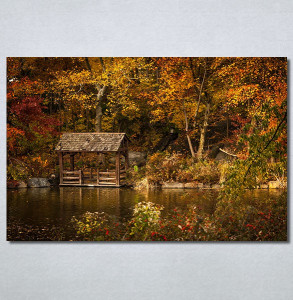Slike na platnu Kuća na jezeru Nina30374_P