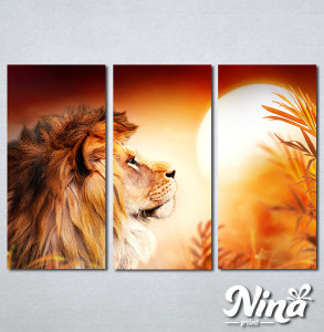 Slike na platnu Lav kralj životinjaNina308_3