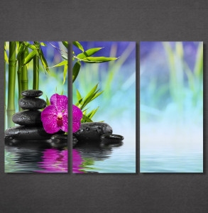 Slike na platnu Ljubičasta orhideja i kamen Nina30131_3