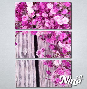 Slike na platnu Pink cvetovi Nina285_3 - Img 3