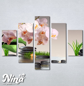 Slike na platnu Roze orhideja Nina304_5