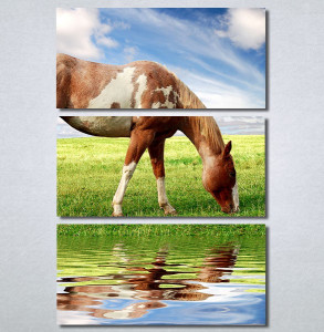 Slike na platnu Slika konja Nina30358_3 - Img 3