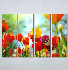 Slike na platnu Tulips 30325_4