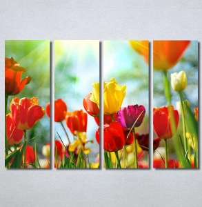 Slike na platnu Tulips 30325_4