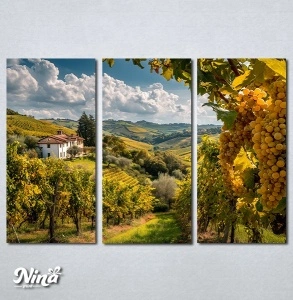 Slike na platnu Vinograd Nina656_3