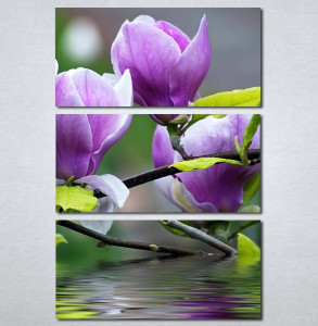 Slika na platnu Ljubičasta magnolija Nina3097_3 - Img 3