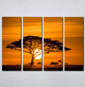 Slike na platnu Afrika zalazak sunca Nina077_4