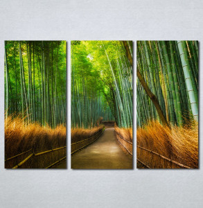 Slike na platnu Bambus Nina215_3