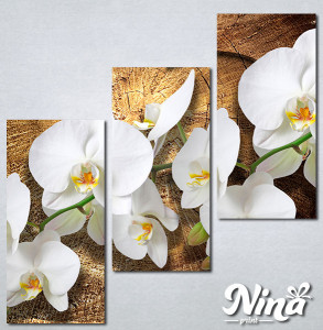 Slike na platnu Bele orhideje Nina323_3 - Img 2