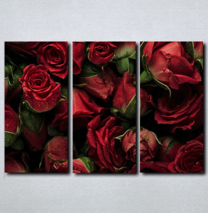 Slike na platnu Buket crvenih ruza Nina143_3