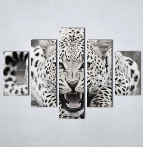 Slike na platnu Leopard Nina123_5