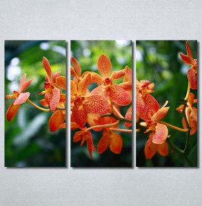 Slike na platnu Narandžasti cvet Nina30233_3