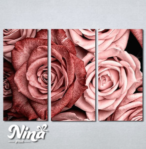 Slike na platnu Slika ruza Nina412_3