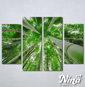 Slike na platnu Suma bambusa Nina329_4