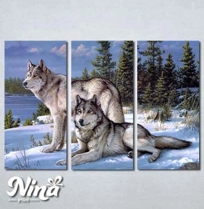 Slike na platnu Vukovi Nina273_3