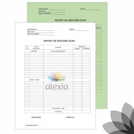Raport de gestiune zilnic A4 autocopiativ
