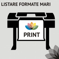 Listare planse formate mari