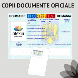 Copii xerox