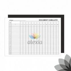 Document cumulativ