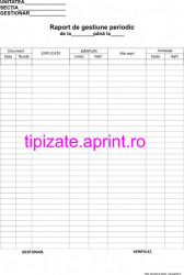 Raport de gestiune periodic A4 autocopiativ