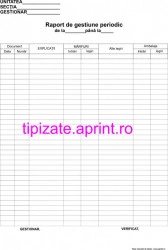 Raport de gestiune periodic A4 autocopiativ - Img 2
