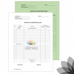 Raport de gestiune zilnic A4 autocopiativ