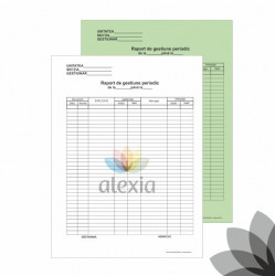 Raport de gestiune periodic A4 autocopiativ