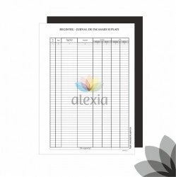 Registru jurnal de Incasari si plati