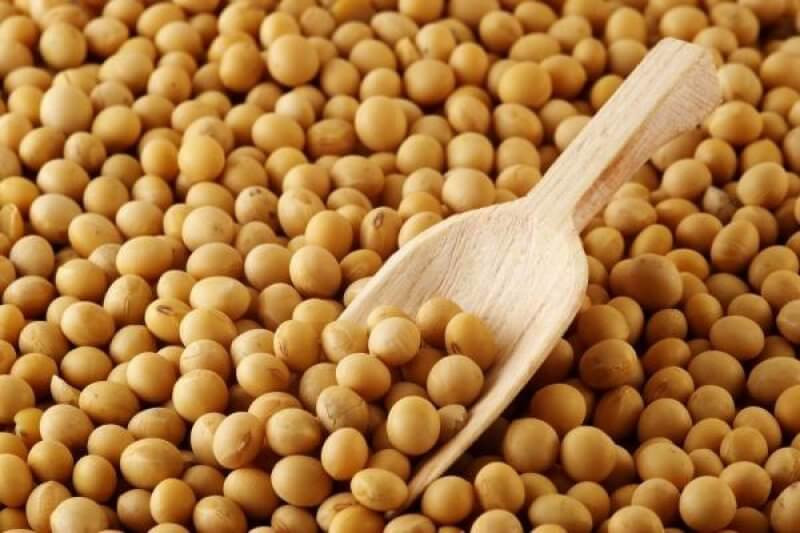 Reteta de post: Bucati de soia la cuptor cu salata asortata