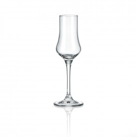 Set Pahare aperitiv Rona Grappa 6050 100ml, 6 buc 1004902