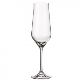 Set pahare de sampanie Bohemia Royal Lida 220ml, 6 bucati 1006056