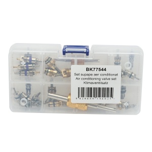 Trusa ventile, supape aer conditionat cu cheie, Cod: BK77544, Brand: BRECKNER GERMANY - Img 1