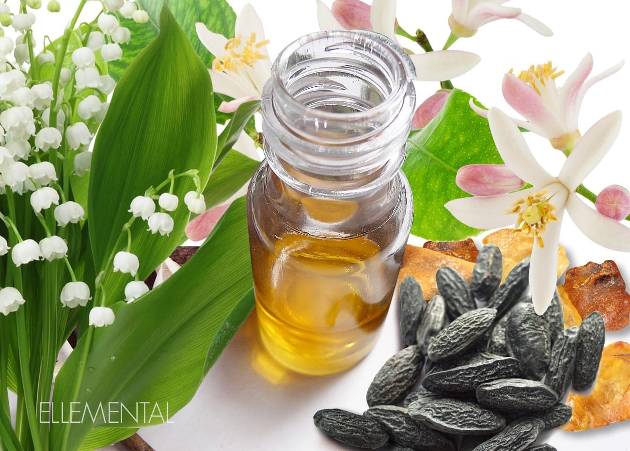 Soft oriental perfume Amber Elle