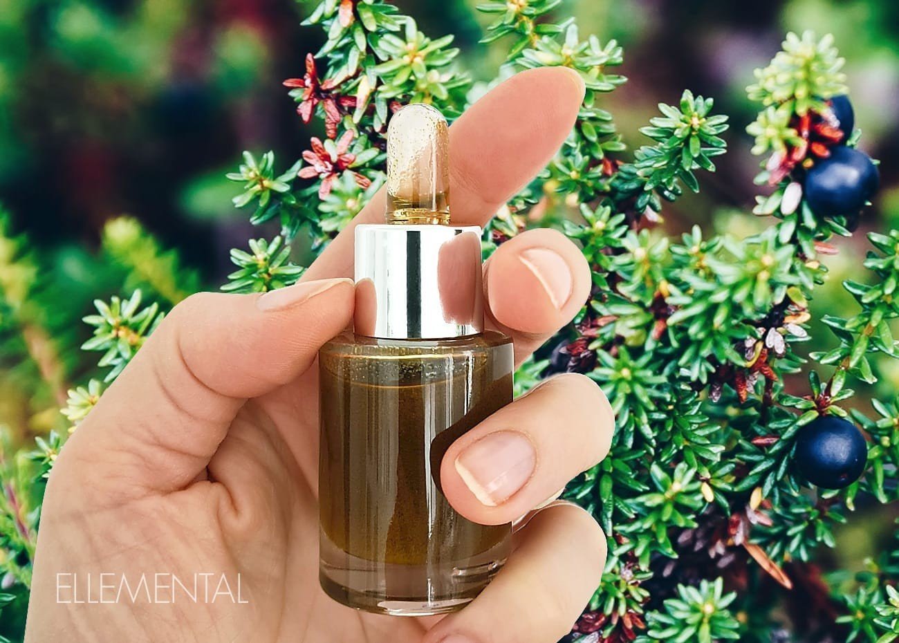 Olio riparatore globale oro verde