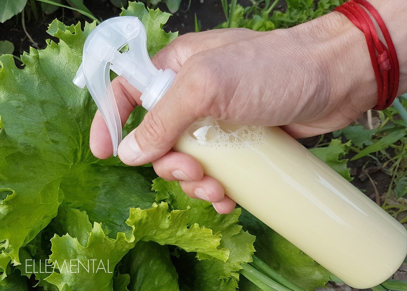 Insetticida ecologico con olio di neem