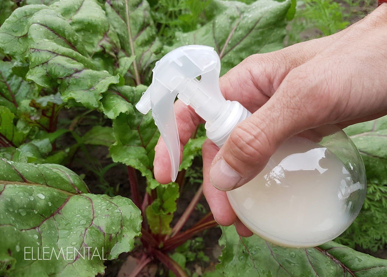 Repellente per insetti da giardino