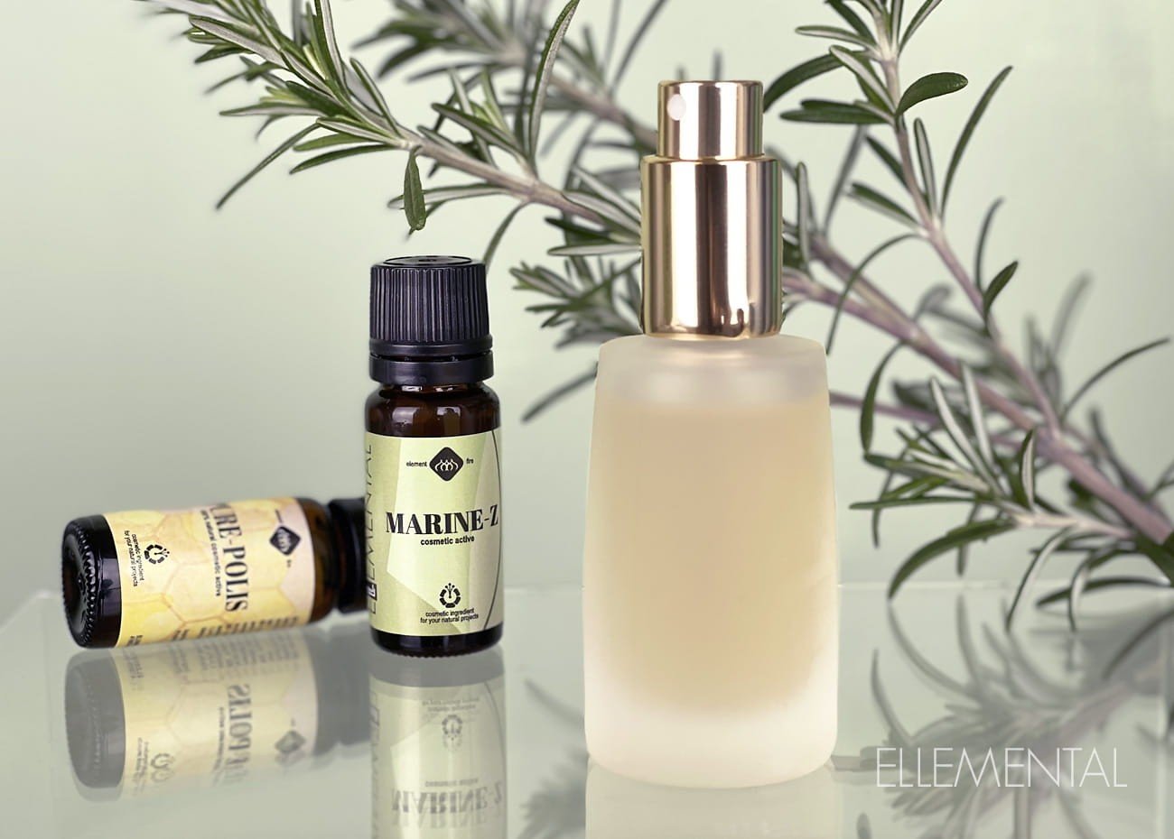 Purifying & Rebalancing Toner Essence