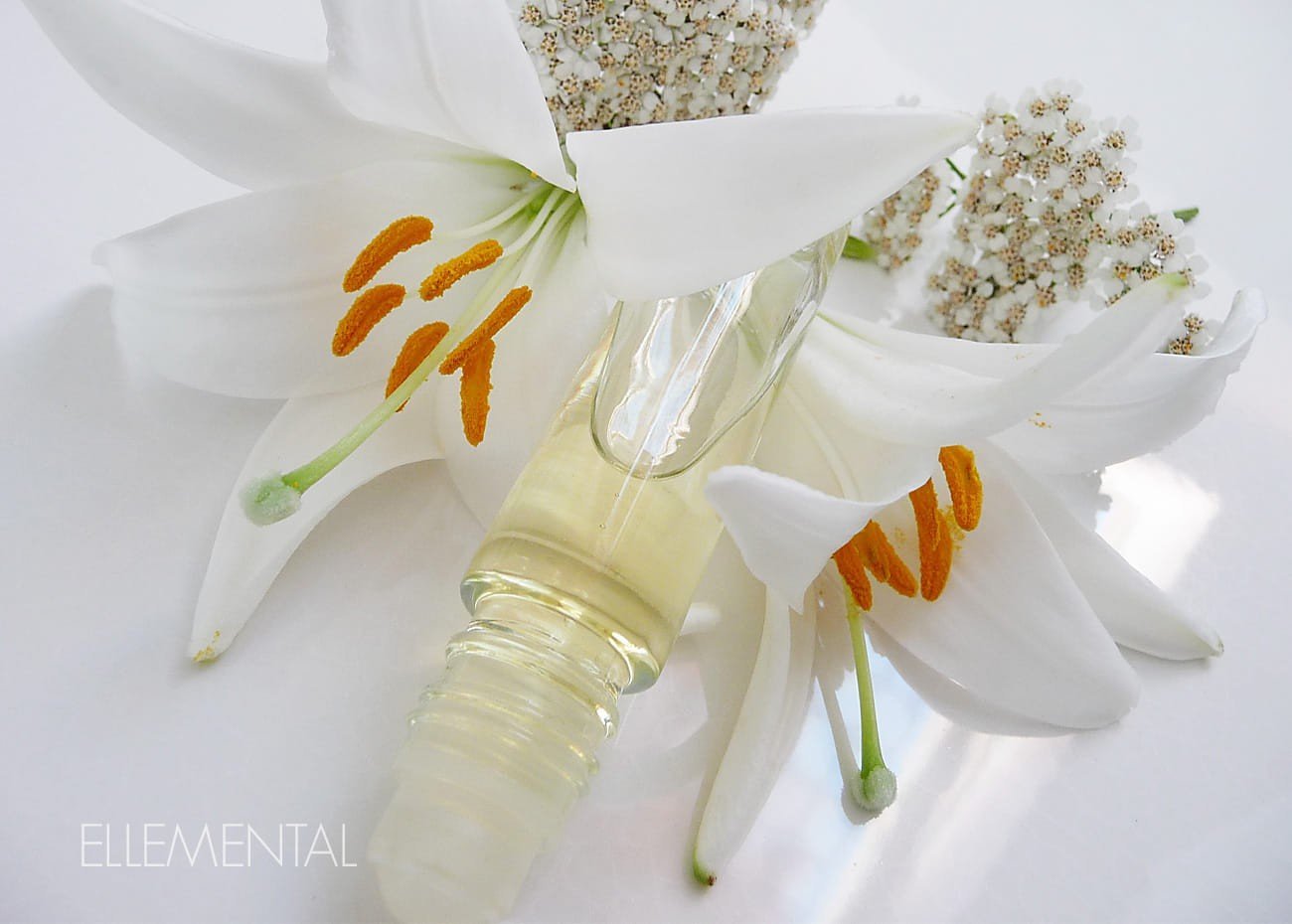 Illuminierendes und regenerierendes Serum Weiße Lilie & Nachtkerzen