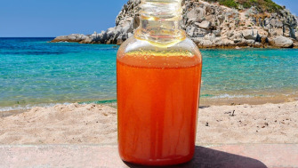 Tanning activator oil with Annatto