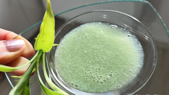 Exfoliate & Peel Gel Cleanser