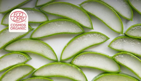 Aloe Vera Gel Bio