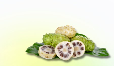 Noni Biomics