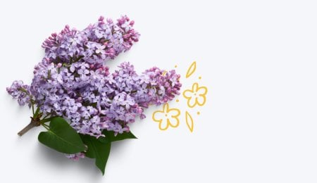 Olio profumato Lilac Genuin