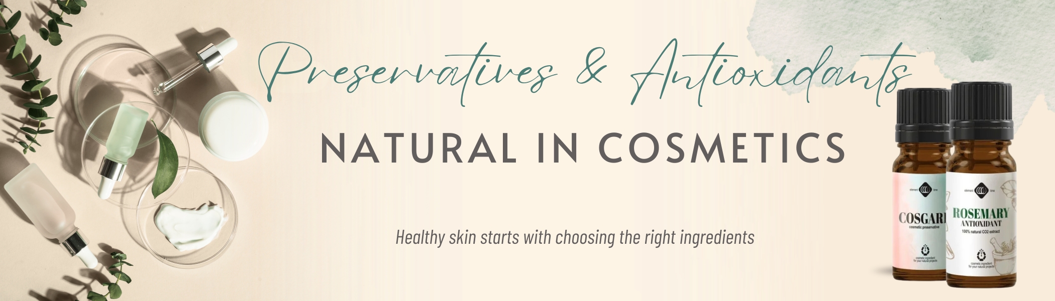 Preservatives, Antioxidants