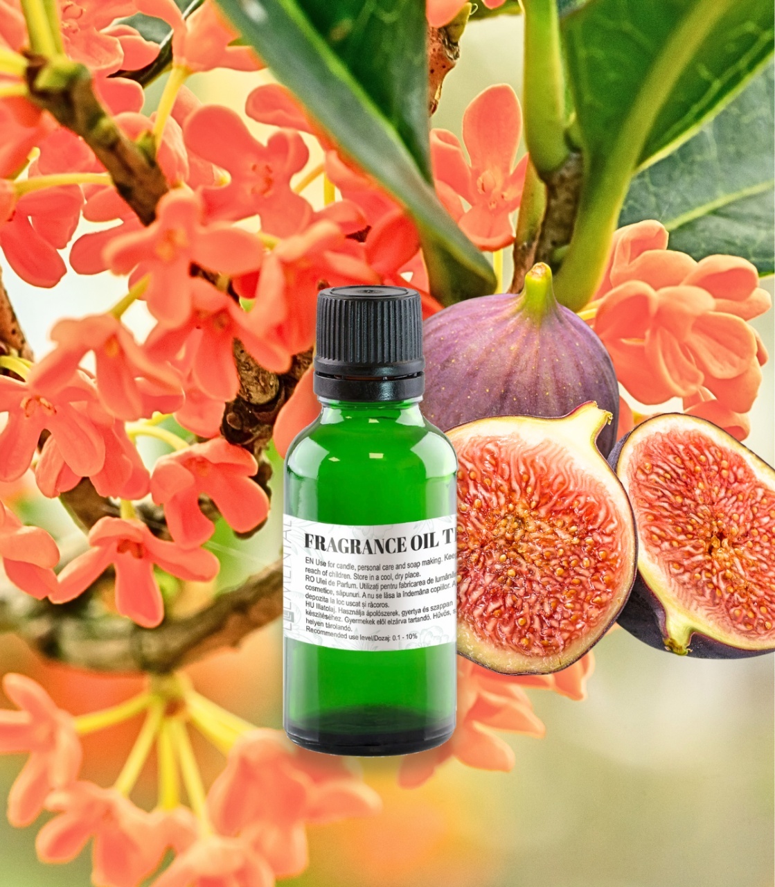 Fig Osmanthus fragrance oil