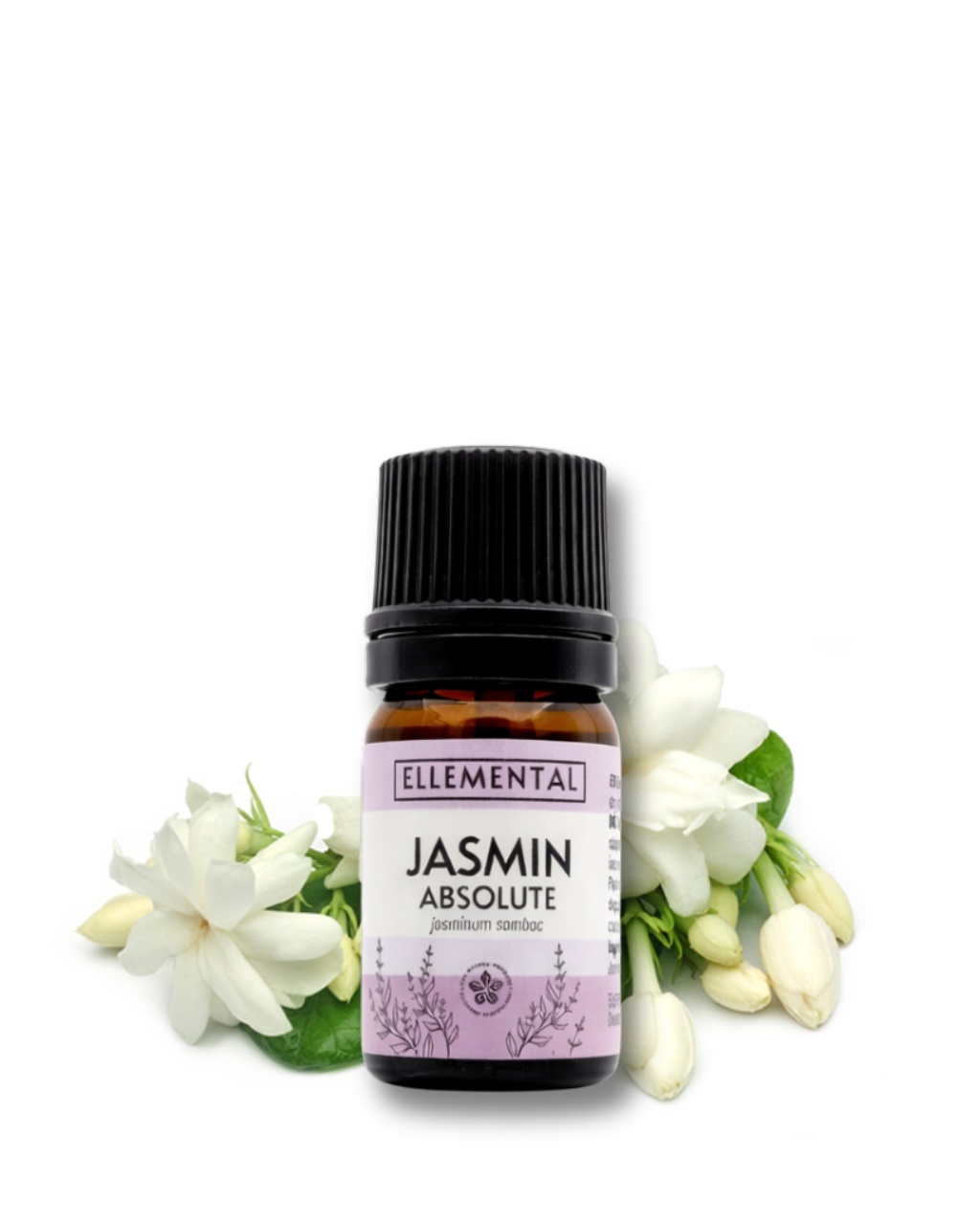 jasmine-absolute~1679617.jpg