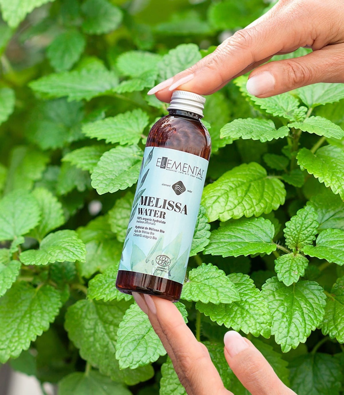 Organic lemon balm water, 100% pure natural toner